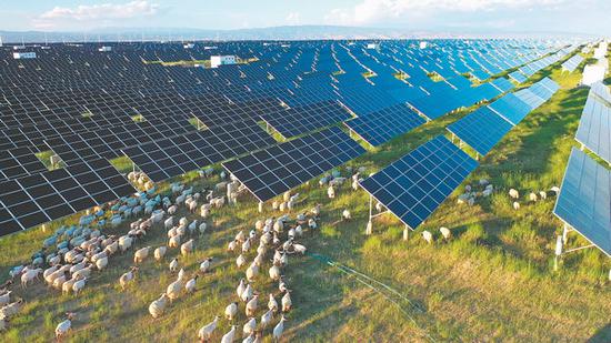 Herders return home to greener pastures